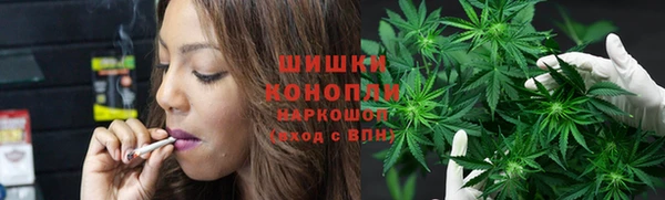spice Лиски