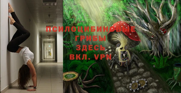 spice Лиски
